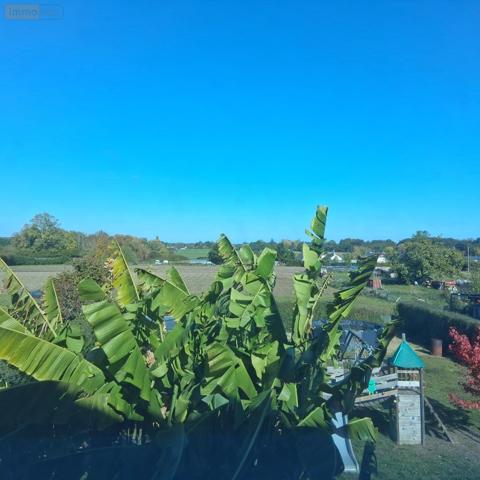 Maison à vendre à Mazé Milon dans le Maine-et-Loire (49630), ref : 49039-1088