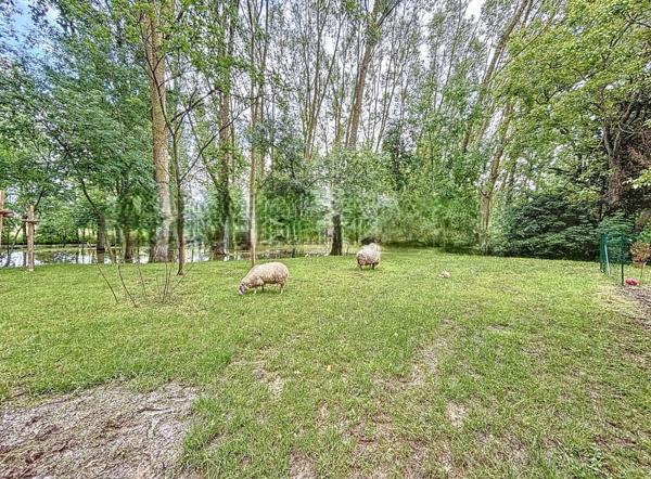 Rare et unique : Ancien moulin de caractère niché dans une forêt de peupliers, traversé par la paisible rivièr