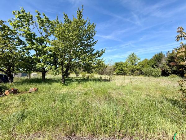 31700 Cornebarrieu Vente maison 137 m 2 habitable - 5 Pièces - 4 Chambres - 273 000 € F.A.I (**) / Réference: M1472