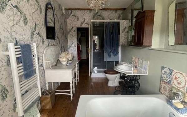 Maison à vendre    5 pièces •  Saint-Savinien