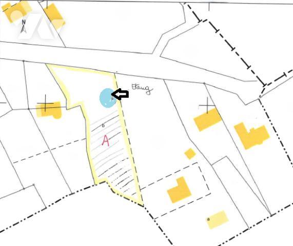 TERRAIN à BATIR NON VIABILISE surface environ 3000 m² -