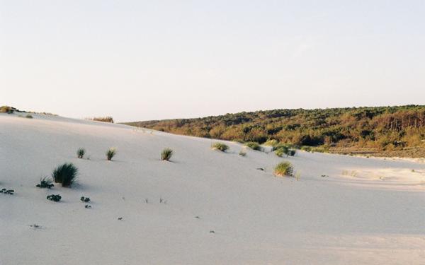 Terrain à vendre    Saint-Julien-en-Born