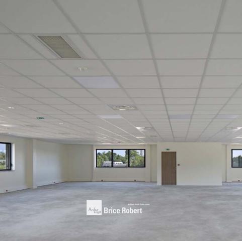 Bureaux et locaux d activités à louer à Dardilly accès direct gare SNCF
