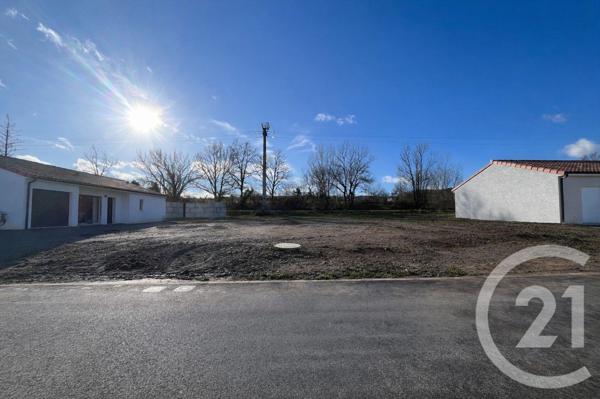 Terrain à vendre  500 m2 ALBI - 81