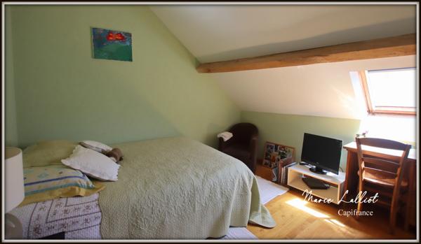 Dpt (45) à vendre, maison 9p, Puiseaux, 178m² env., caves, grange, dépendances, 4 chambres