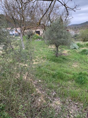 Achat vente Terrain Riez