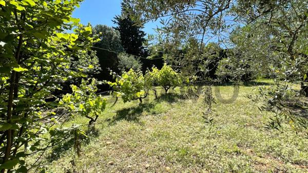 Vente / Maison de plain-pied