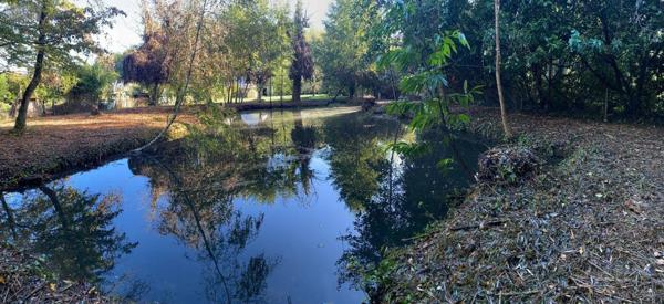 Maison de ville à vendre à Cinq-Mars-la-Pile dans l'Indre-et-Loire (37130), ref :