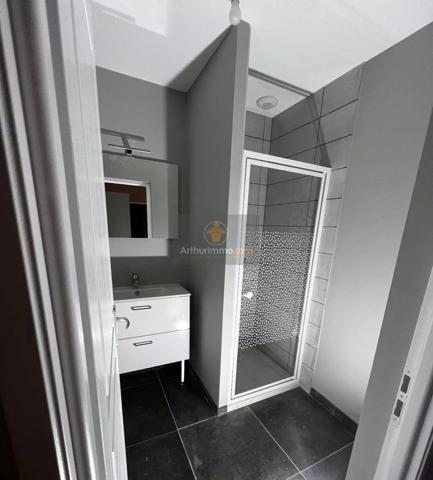 Vente Immeuble 280 m2 à Bourbonne-les-Bains