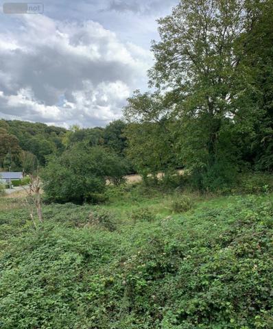 Maison à vendre à La Vaupalière en Seine-Maritime (76150), ref : 76009-436