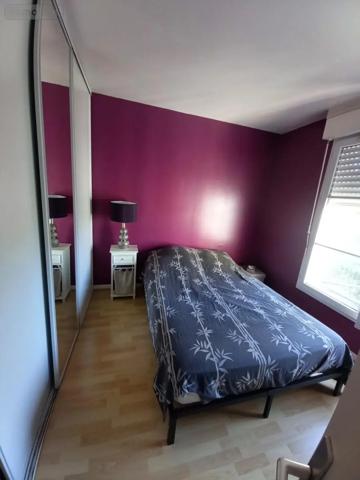 Location - Appartement Amiens 80000 49 m 2