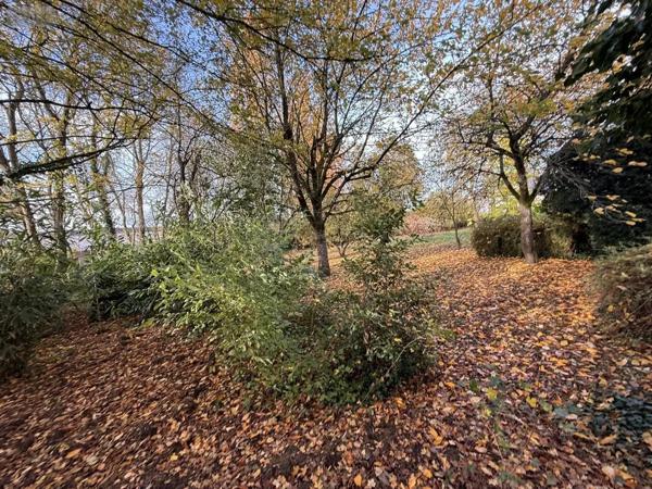 Achat - Terrain à bâtir Prouvy 59121 1807 m 2