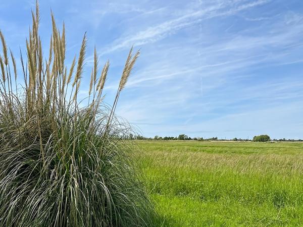 LE PERRIER - Charmante longère au calme du marais