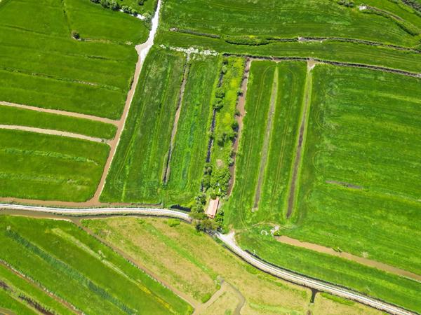 LE PERRIER - Charmante longère au calme du marais