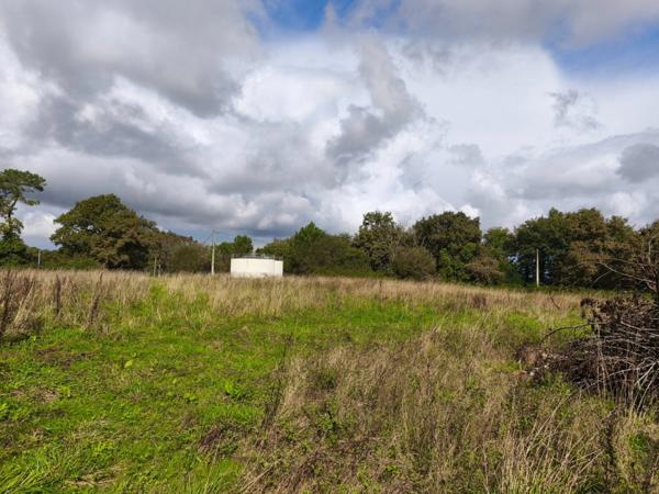 Maison à vendre 4 pièces GEAUNE (40)