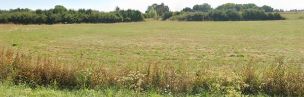 Terrain dans Warcq