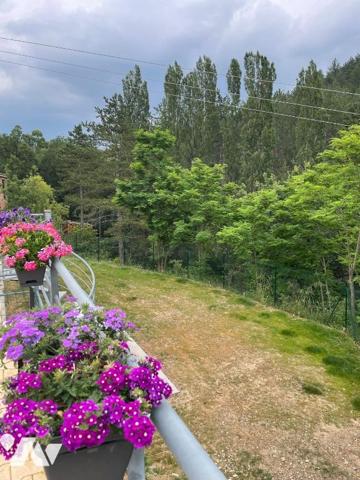 Maison 7 pièces en viager occupé