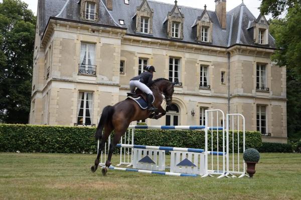 Magnifique château entièrement rénové et propriété équestre à vendre proche de SANCERRE (18)
