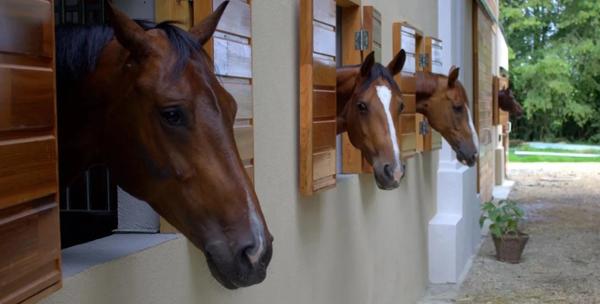 Magnifique château entièrement rénové et propriété équestre à vendre proche de SANCERRE (18)