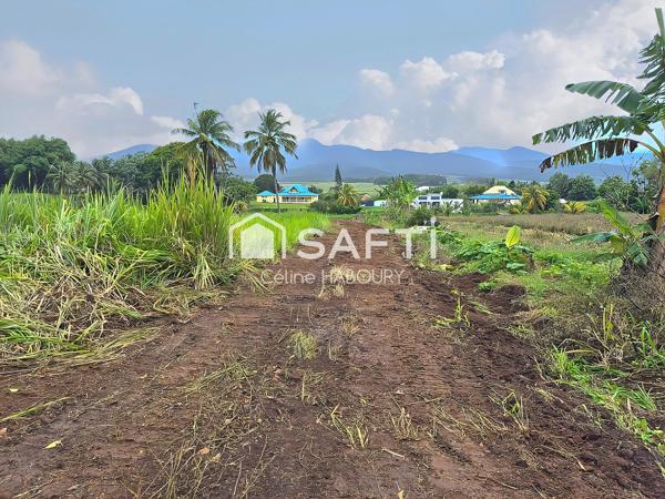 terrain 1353 m2 constructible