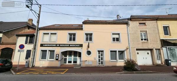 Achat - Appartement Raon-l'Étape 88110 4 pièces 105 m 2