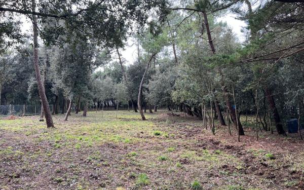 Terrain à vendre    Saint-Georges-d'Oléron