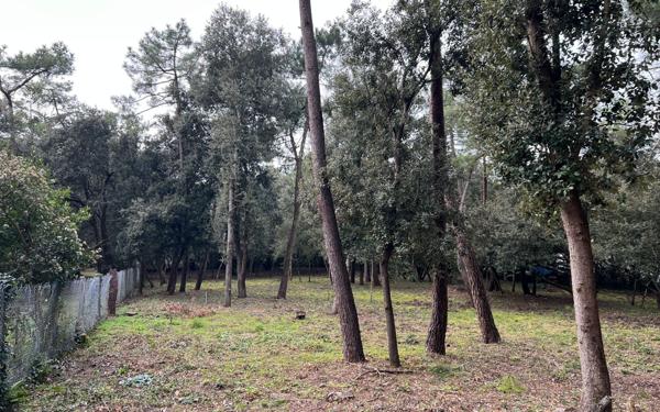 Terrain à vendre    Saint-Georges-d'Oléron