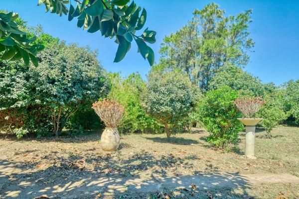Vente maison T5 Cap Corse - Macinaggio - Rogliano 186 m2 avec jardin 1110 m2 - dépendance - garage