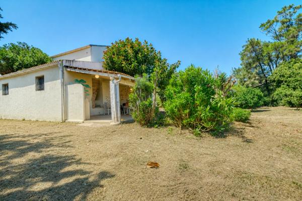 Vente maison T5 Cap Corse - Macinaggio - Rogliano 186 m2 avec jardin 1110 m2 - dépendance - garage