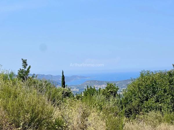 Vente Maison 6 pièces 135 m2 à Oletta