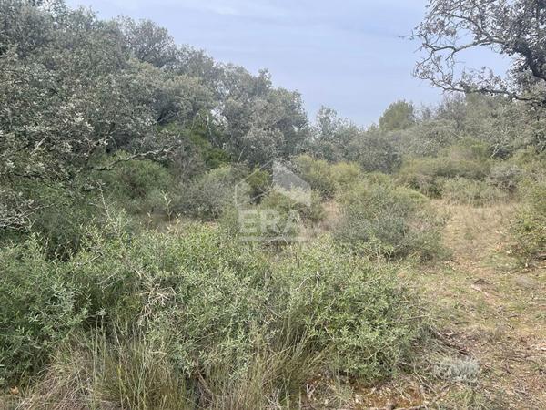 Terrain en zone naturelle Mazan 50 000 m2