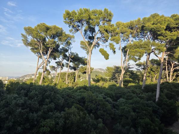 Appartement
         2 pièces
        - 43 m² 206 000 € *