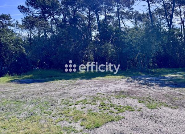 Terrain - 1000 m² Exclusivité