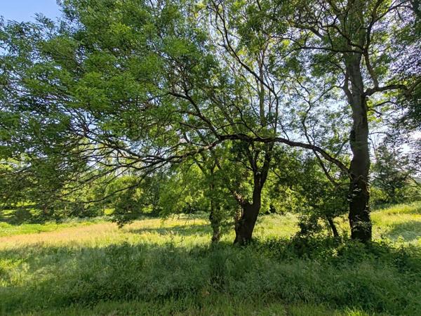 Maison à vendre 6 pièces proche de Montaigu-Vendée (85)