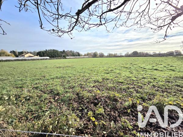 Terrain à vendre 8 182 m² Montmorillon