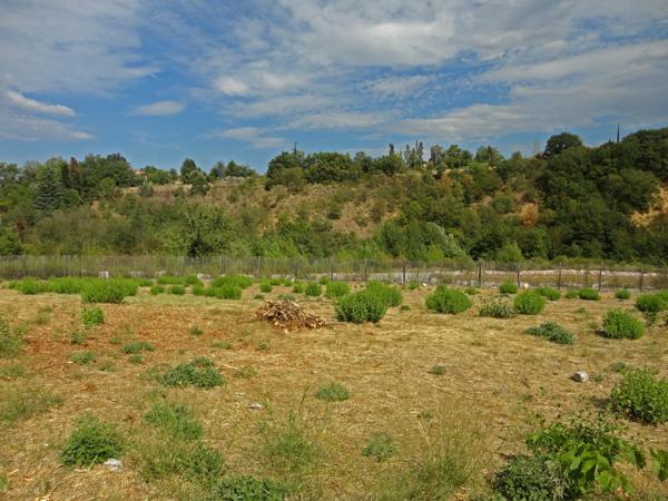Dpt Pyrénées Orientales (66), à vendre PRADES Terrain constructible 225 m², 2 faces, libre constructeur