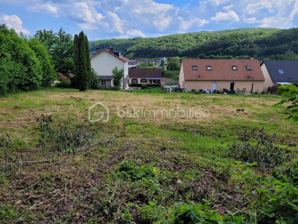 Terrain constructible – Exposition plein Sud – Bogny-sur-Meuse (Levrézy)

Découvrez ce terrain constructible plein Sud, idéalement situé dans le quartier très recherché de Levrézy, l’un des secteurs les mieux exposés de Bogny-sur-Meuse (08120).
À proximité immédiate de Charleville-Mézières et de la Belgique, ce terrain offre un cadre ensoleillé et paisible, parfait pour votre futur projet immobilier.

Caractéristiques du terrain : Surface constructible : 898 m²

Façade : 24 m, permettant de nombreuses configurations de construction

Terrain libre de constructeur : créez la maison de vos rêves, de plain-pied ou avec sous-sol

Quartier calme, agréable et très lumineux

Raccordements et viabilisation
Double assainissement déjà présent sur le terrain : eaux usées + eaux pluviales
Télécom déjà sur place
À prévoir : branchement EDF, estimé à environ 1 250 €

Vous avez un projet de construction ?
Vous recherchez la tranquillité tout en restant proche de villes dynamiques et des frontières ?
Ce terrain est l’emplacement idéal pour bâtir votre future maison !
Ne manquez pas cette occasion unique d'acquérir ce terrain, contactez-moi dès aujourd'hui pour organiser une visite

Pour des acquéreurs potentiels garantis, je suis en recherche de maisons et appartements à vendre sur la Vallée de la Meuse, la pointe et ses environs mais également le département de l’Aisne
N'hésitez pas à me contacter pour une estimation de votre bien ( elle vous sera offerte ).
