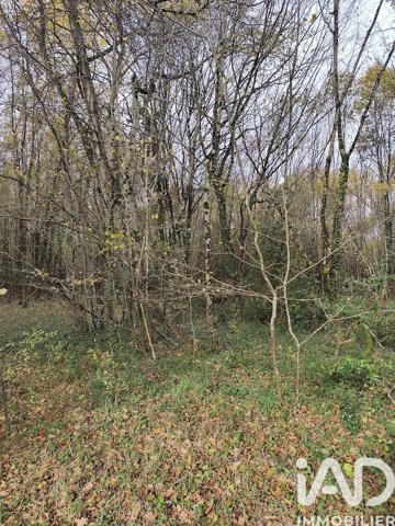 Terrain à vendre 405 918 m² Val d'Issoire