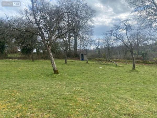 Achat - Maison Saint-Germain-de-Tallevende-la-Lande-Vaumont 14500 4 pièces 91 m 2 4700 m 2