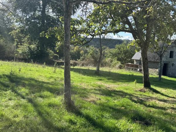 Achat - Maison Saint-Germain-de-Tallevende-la-Lande-Vaumont 14500 4 pièces 91 m 2 4700 m 2