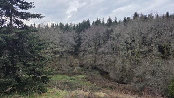 Maison à vendre |  Salon-la-Tour |  5 pièces | 115 m²