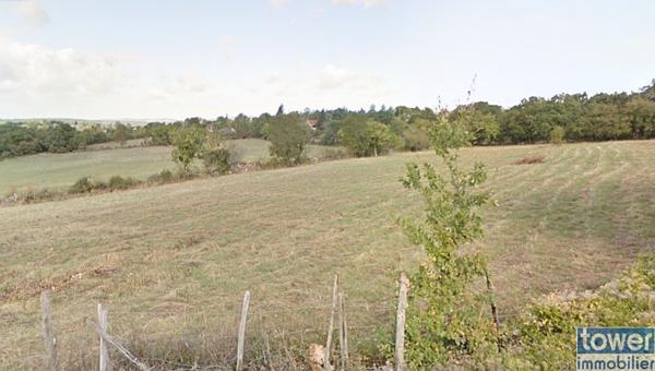 Terrain