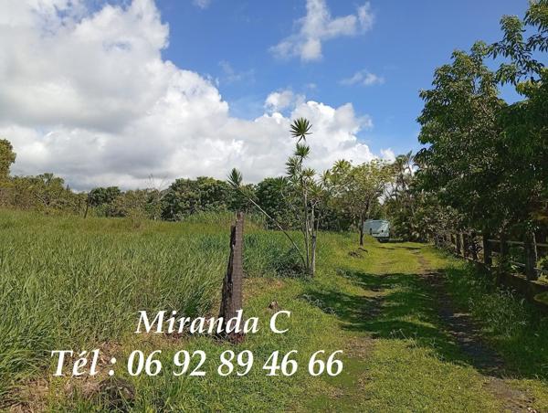 Propriété agricole, un verger de letchis, sur 3Ha6a240ca+2maisons sur 2a500ac