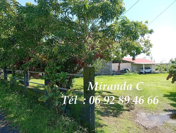 Propriété agricole, un verger de letchis, sur 3Ha6a240ca+2maisons sur 2a500ac