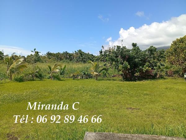 Propriété agricole, un verger de letchis, sur 3Ha6a240ca+2maisons sur 2a500ac