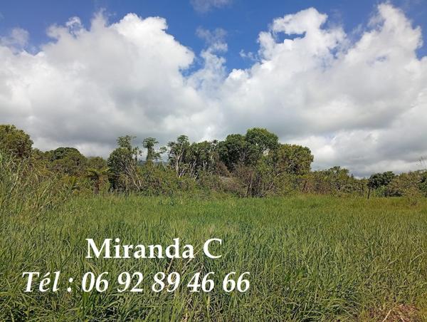 Propriété agricole, un verger de letchis, sur 3Ha6a240ca+2maisons sur 2a500ac