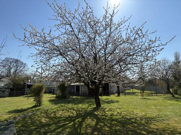 Vente                                                      Terrain
                        
                                         930 m2                     à Vallans