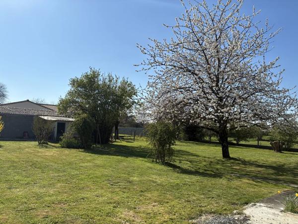 Vente                                                      Terrain
                        
                                         930 m2                     à Vallans