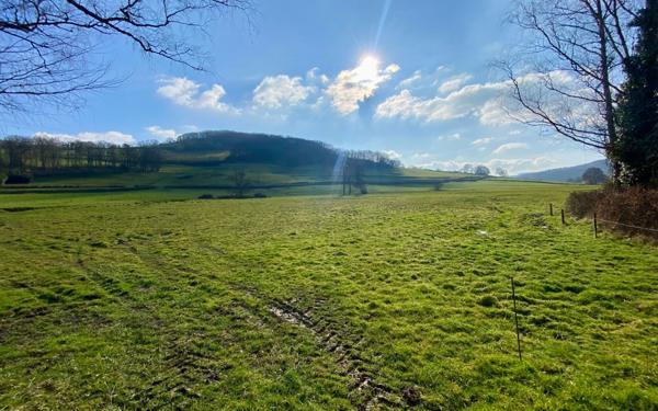 Maison à vendre    6 pièces •  Saint-Symphorien-de-Marmagne