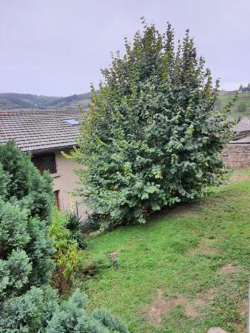 Belle maison de Type T4 , Saint-forgeux